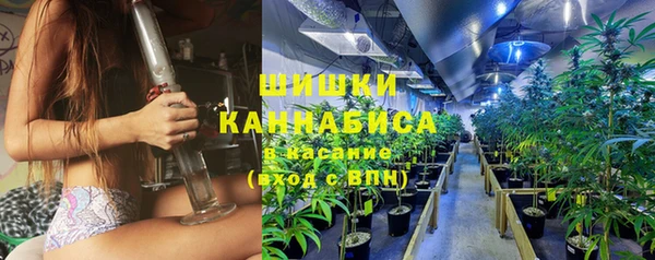 ГАЛЛЮЦИНОГЕННЫЕ ГРИБЫ Гусиноозёрск