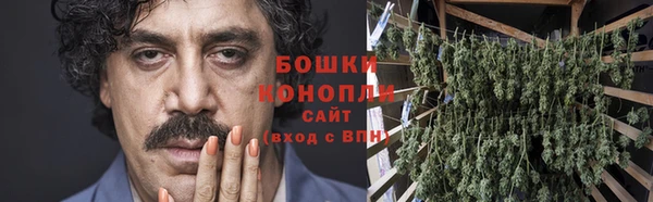 ГАЛЛЮЦИНОГЕННЫЕ ГРИБЫ Гусиноозёрск