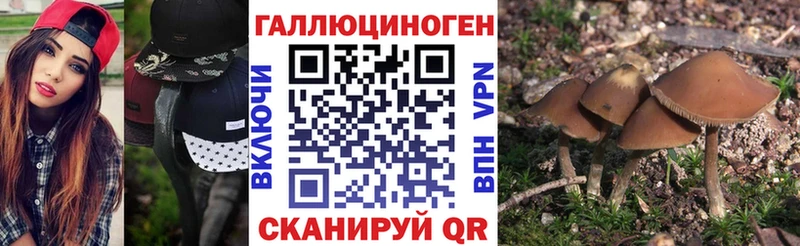 Купить  Суворов  Галлюциногенные грибы мухоморы 