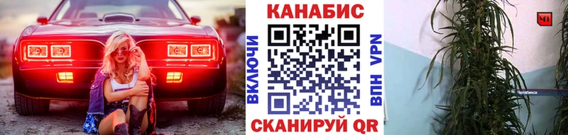 Шишки марихуана план  Купить где  Суворов 